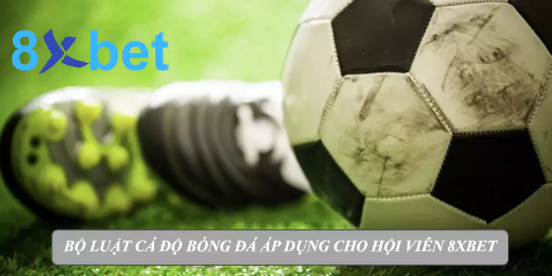 Từ A-Z về luật cá độ bóng đá cho bet thủ tại Việt Nam Tìm hiểu bộ luật cá độ bóng đá áp dụng cho hội viên 8xbet